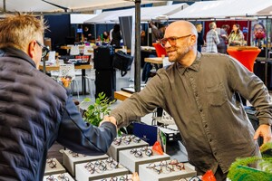 Terugblik BOLD Light