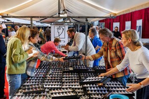 Terugblik BOLD Light