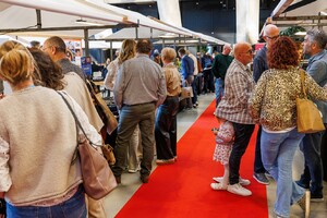 Terugblik BOLD Light