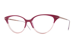 <strong>LOOK</strong> presenteert de nieuwe NIL-modellen