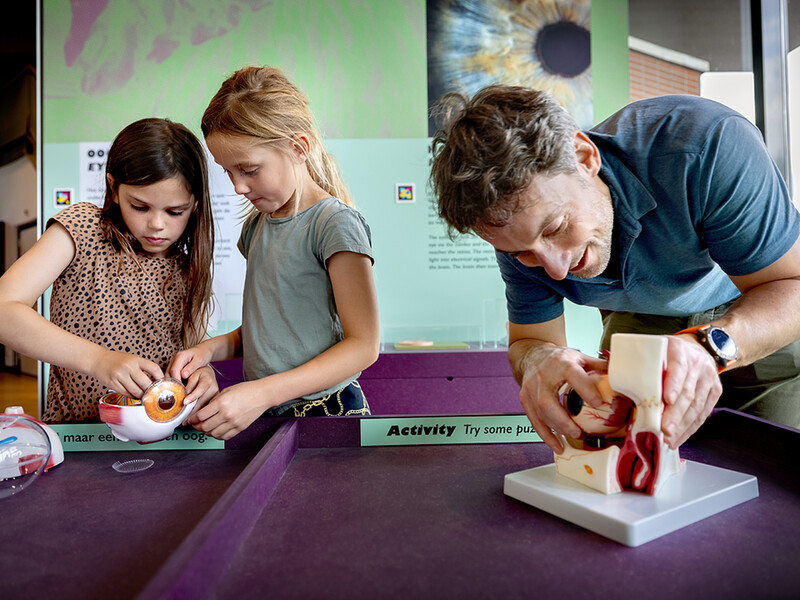 Het effect van schermtijd op kinderogen