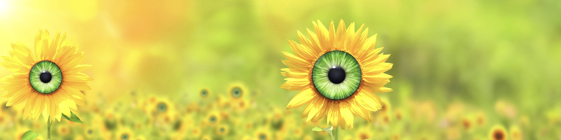 WAAROM SAMENWERKEN MET
SMEYEL HET VERSCHIL MAAKT