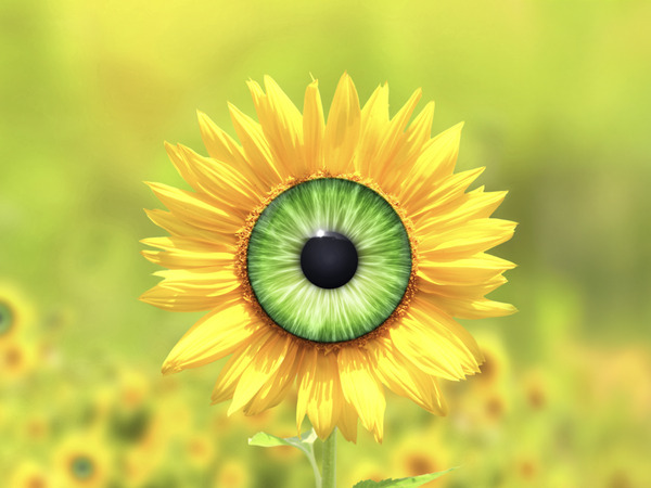 WAAROM SAMENWERKEN MET
SMEYEL HET VERSCHIL MAAKT